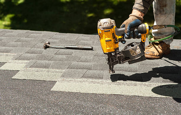 Best Roof Maintenance and Cleaning  in Sparta, MI